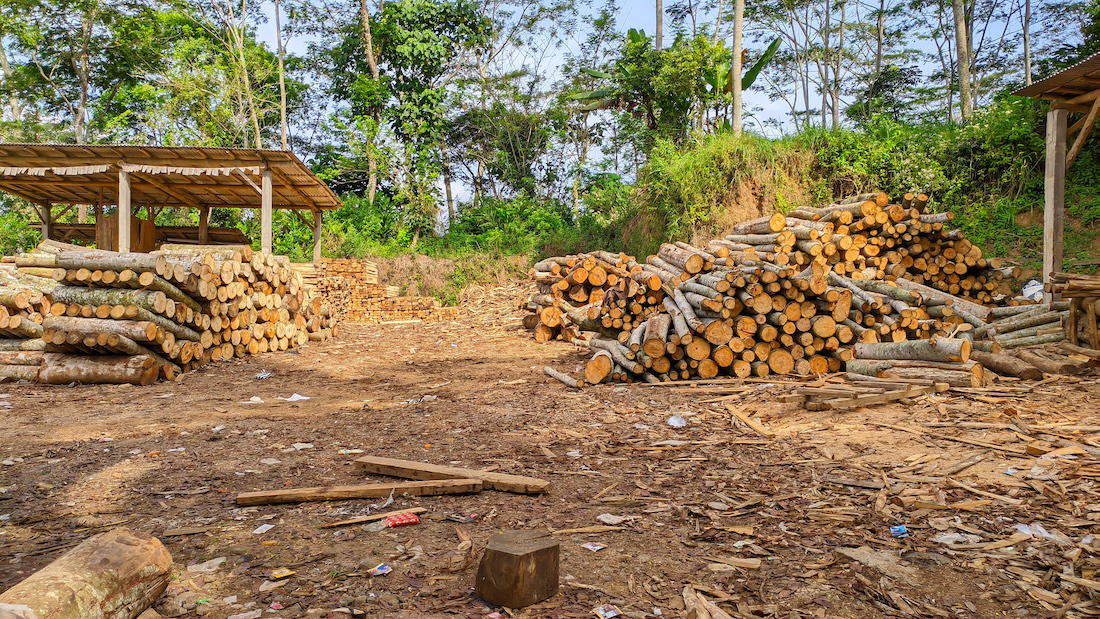 Jak stworzyć linię rozdrabniania odpadów drzewnych?