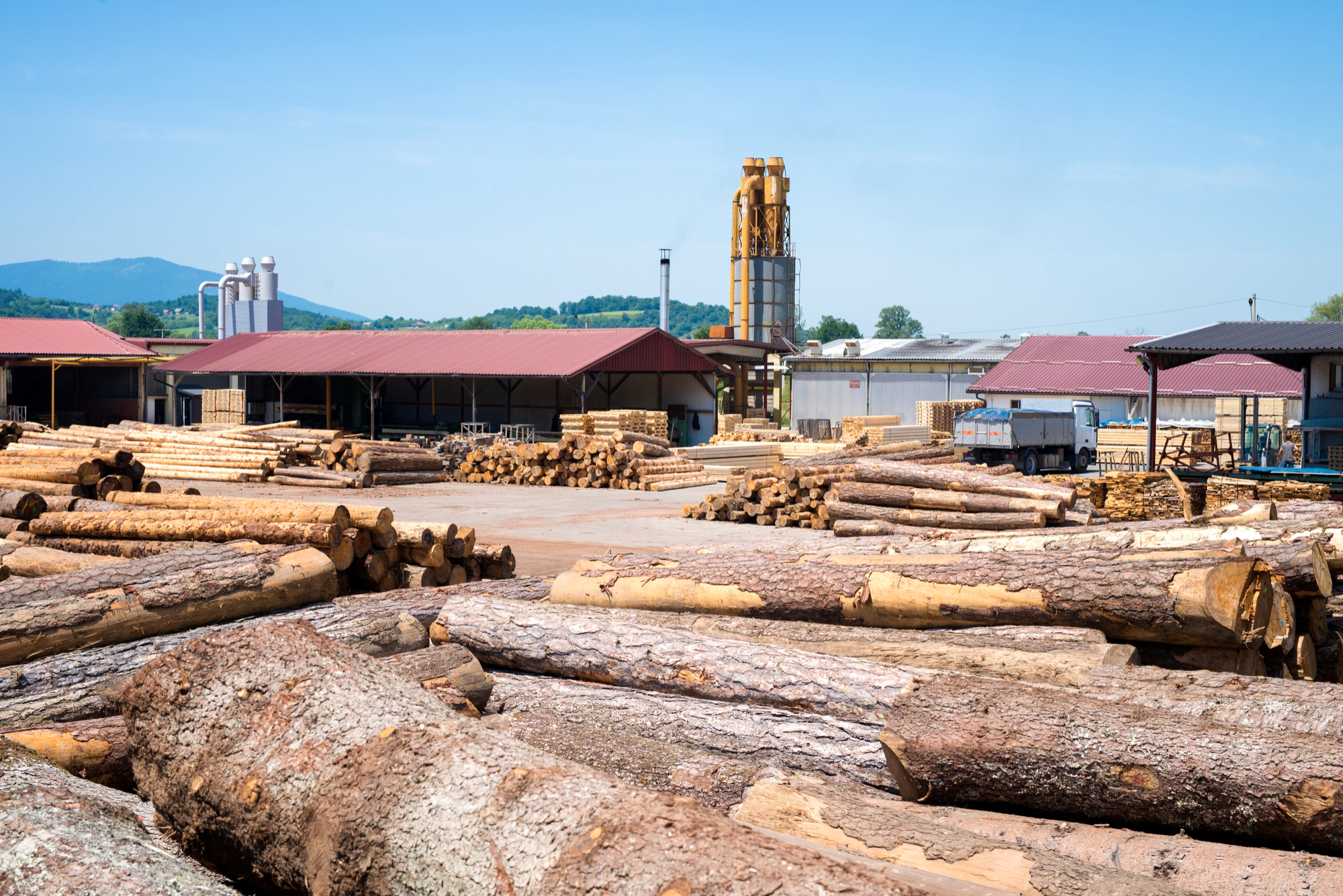Nowoczesne technologie rewolucjonizujące przemysł drzewny