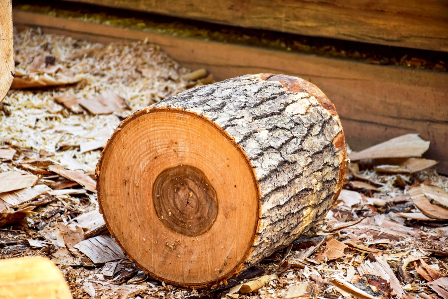 Rębaki do drewna a ekologia - recykling, biomasa i ochrona środowiska